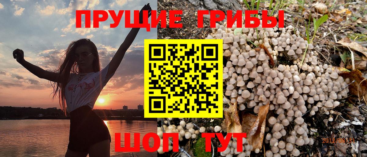 Псилоцибиновые грибы прущие грибы  Вход с VPN  Минеральные Воды 