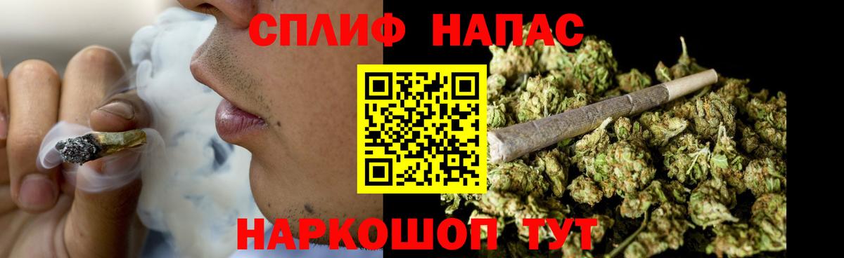 Бошки Шишки конопля Минеральные Воды